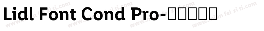 Lidl Font Cond Pro字体转换